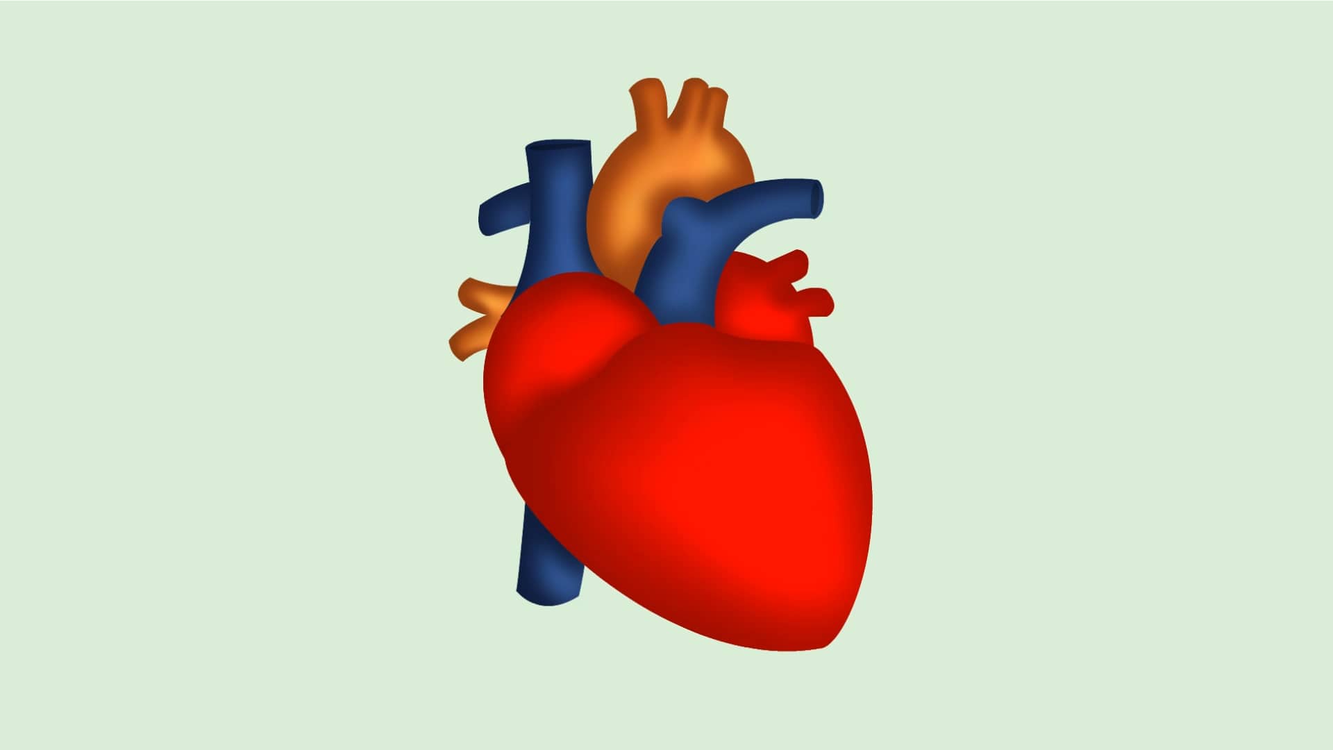 Featured image of post How To Draw A Human Heart - Draw a human heart | easy drawings, drawings, human heart.