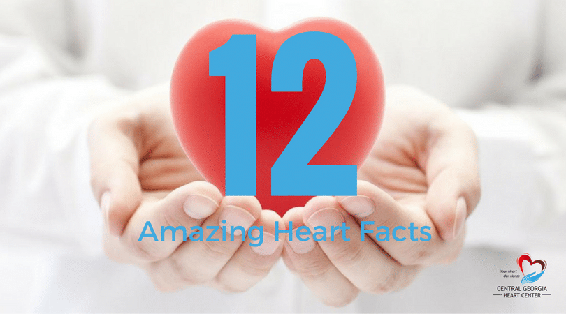 12 Amazing Facts About Your Heart - Central Georgia Heart Center